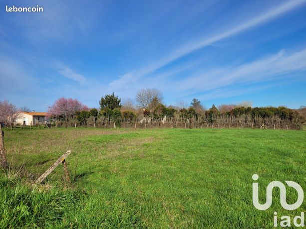 Terrain 4072 m² Champagne-Mouton