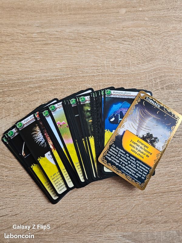 Jeux defi nature (image 3)