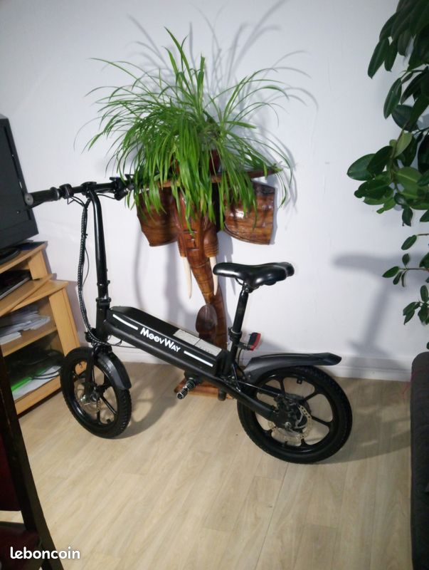 Draisienne electrique (image 2)