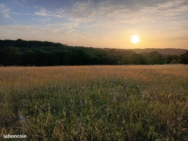 Terrain agricole