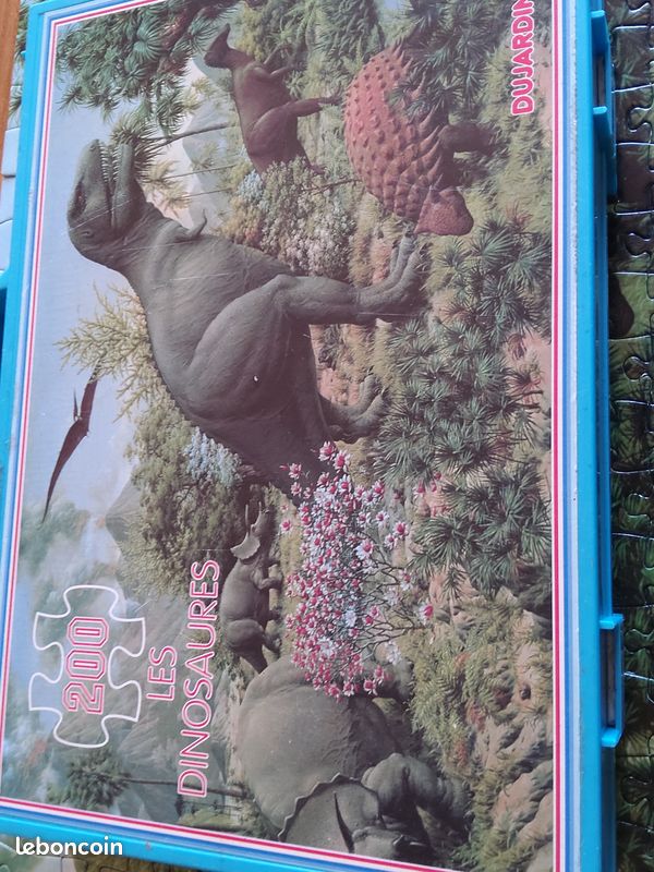 Puzzle (image 1)