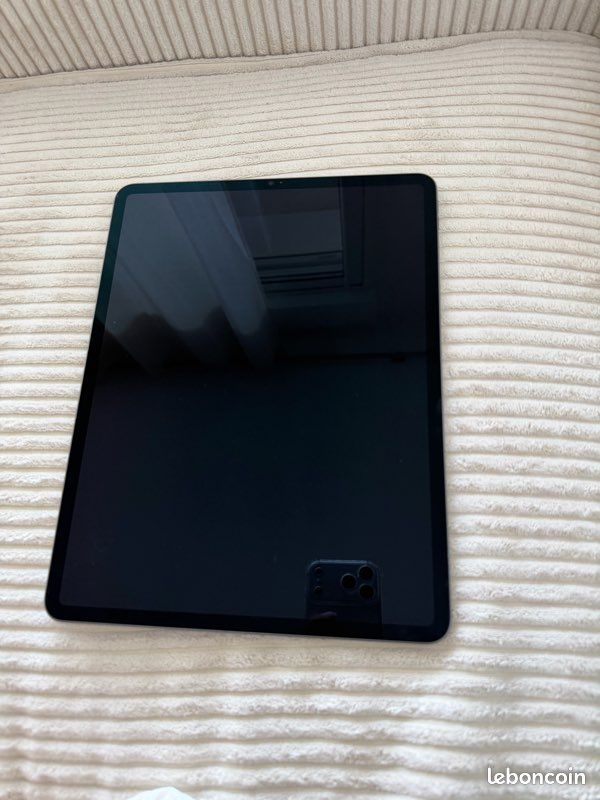 IPad Pro 12,9” M1 256 Go Wi-Fi Gris Sidéral (image 3)