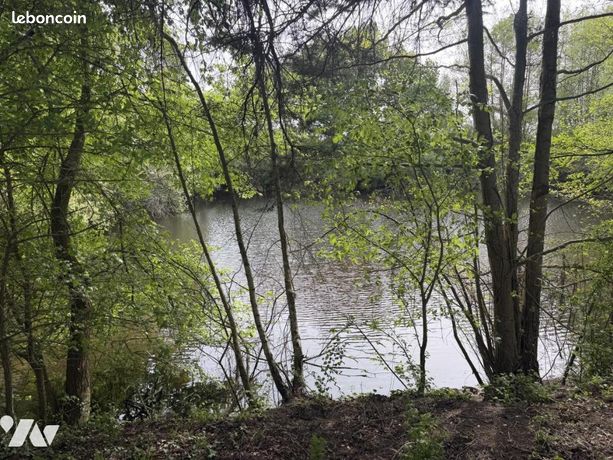 Terrain 5094 m² ST MARTIN DU BOIS