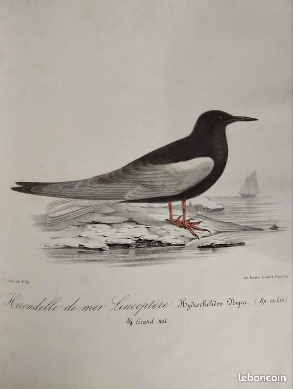 HISTOIRE DE LA LITTERATURE FRANCAISE DES ORIGINES A NOS JOURS