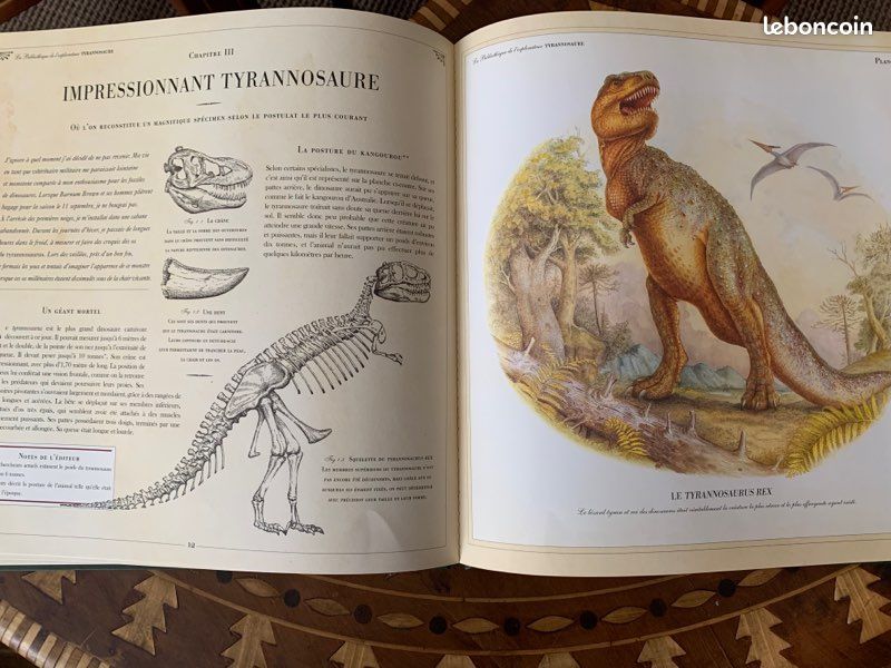 Livre Tyrannosaure (image 4)