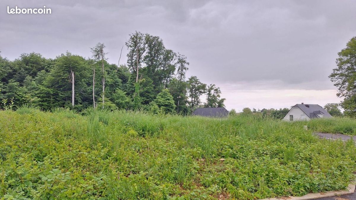 Terrain 593 m² · à Pfetterhouse · 62 265 €