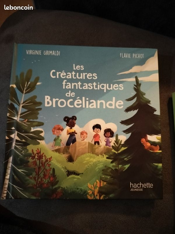Lot de 6 livres Merveilles de France (image 4)