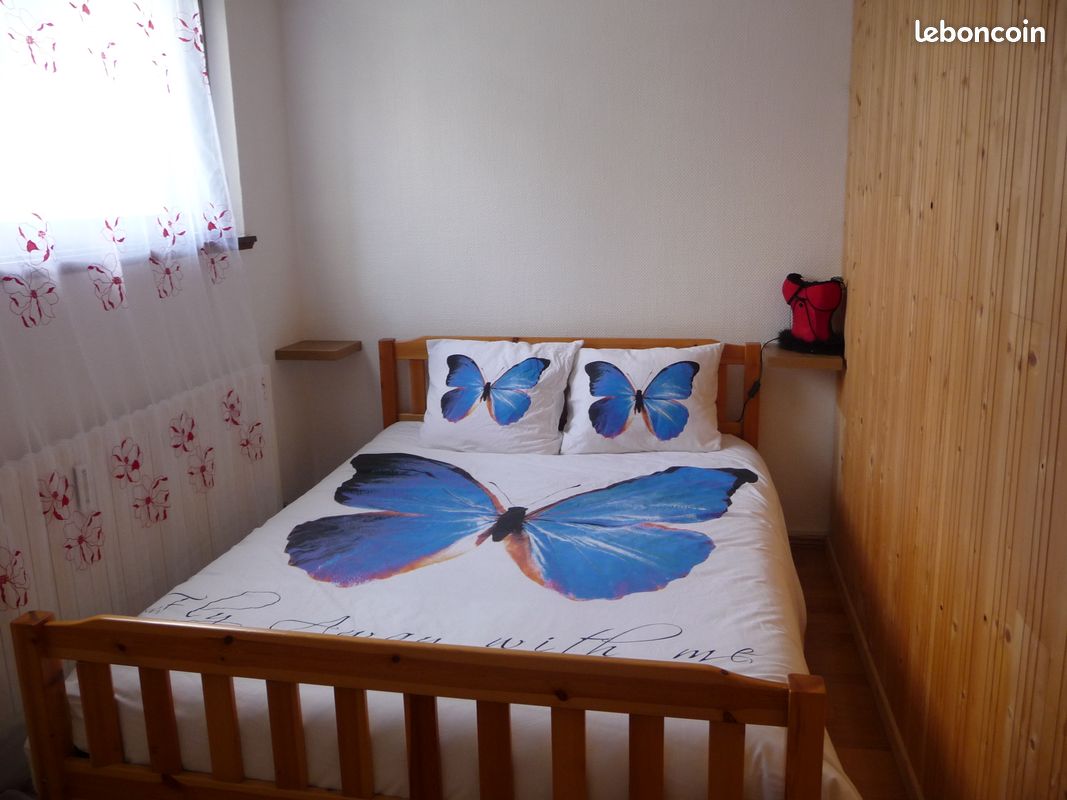 Location f3 aux pieds des pistes (image 2)
