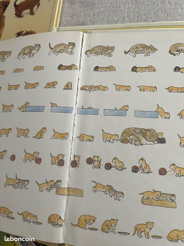 Lot livres animaux hachette jeunesse (image 6)