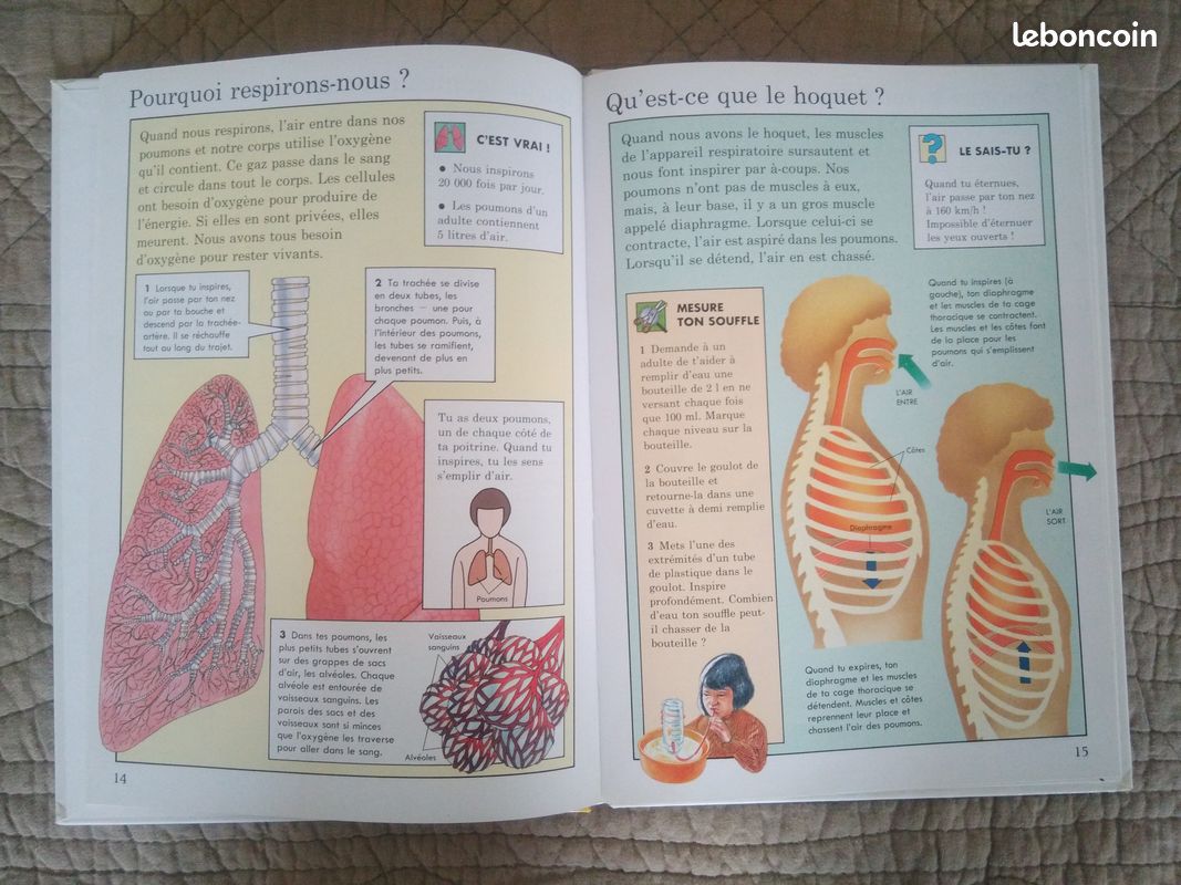 Le corps humain Reponse 7/9 ans larousse etat neuf (image 2)