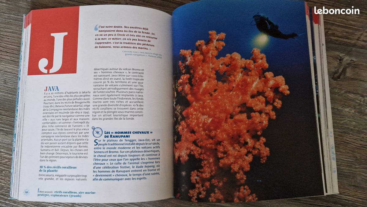 Thalassa : des mots à la mer (image 3)