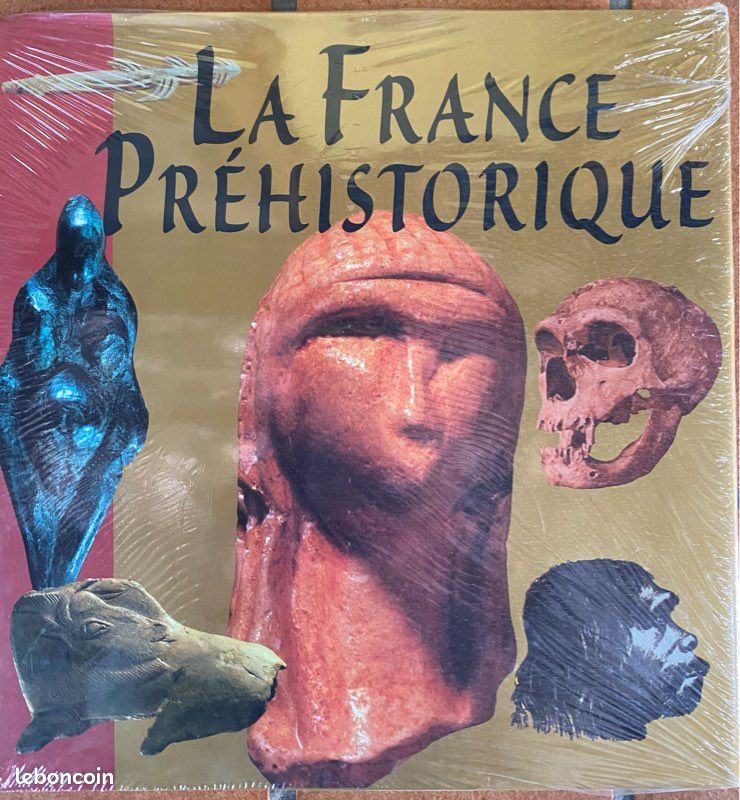 La France médiévale + la France préhistorique + la France de la Renaissance (image 2)