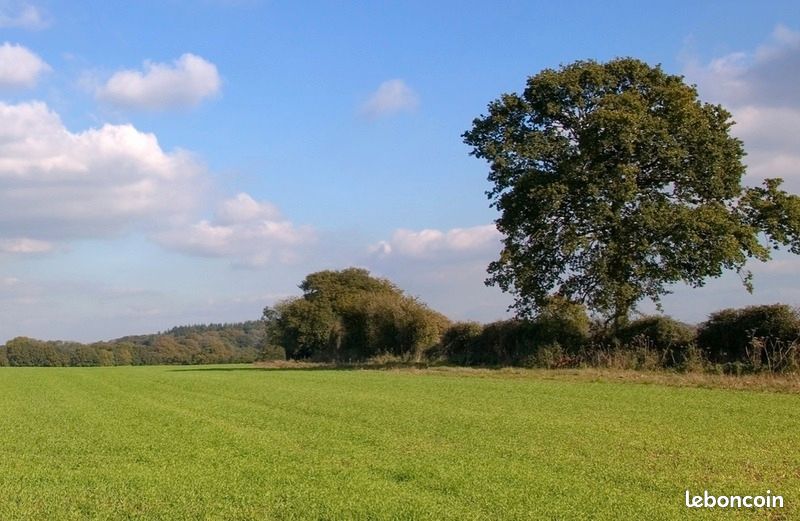 Terrain 400 m² Orgerus · 135 000 €