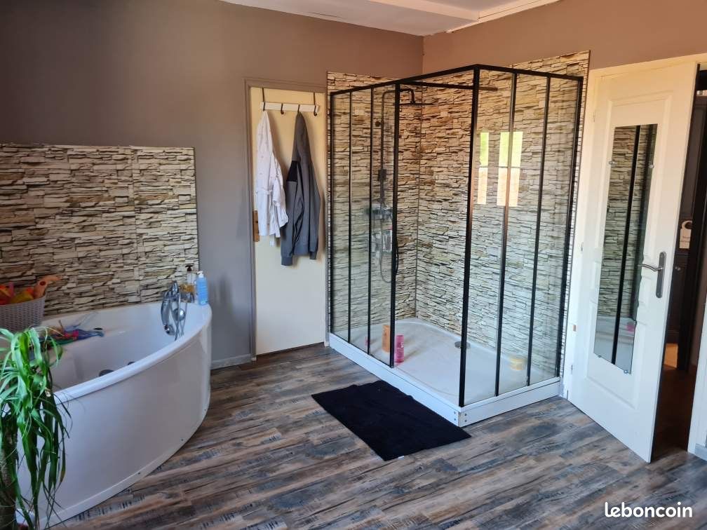 Maison 14 pièces 425 m² - Jarnac 16200 (image principale 5)