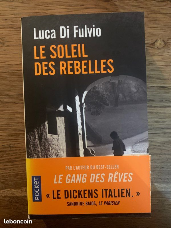 Le soleil des rebelles (image 2)