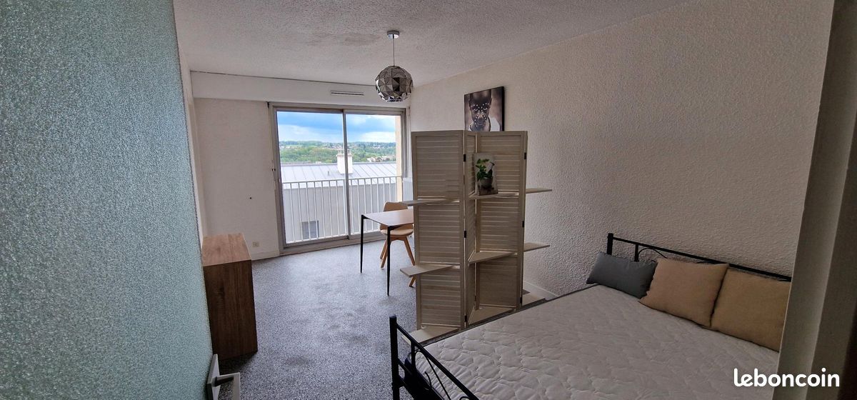 A louer T1 meublé 28m² - Limoges 87000 Centre-Hôtel de Ville Emailleurs (image principale 0)