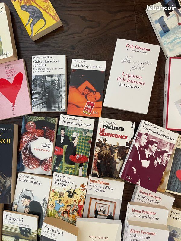 Lot de 60 livres de littérature format poche ou grand format tous auteurs lot ou unité (image 1)