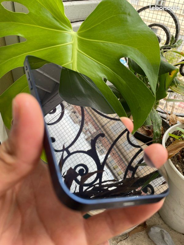 IPhone 12 (image 1)