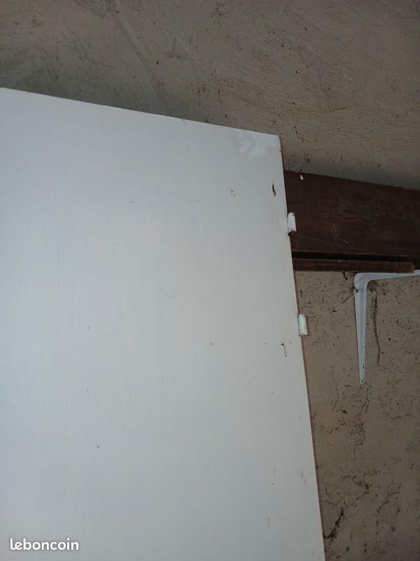 Vends 1 porte 73 cm sans encadrement coupe feu avec chatiere incluse (image 2)