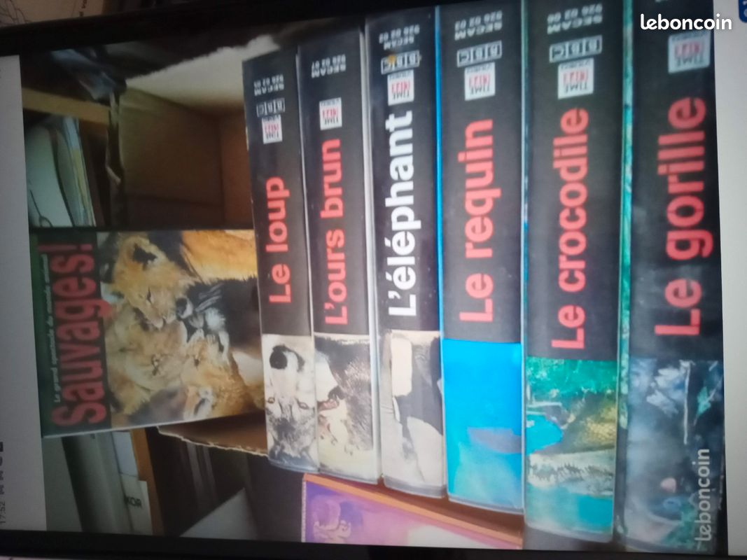 Cassettes vidéos (image 1)