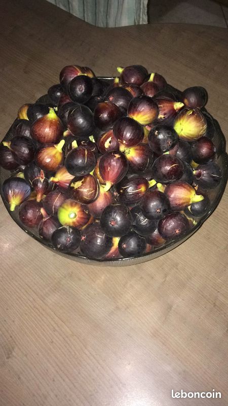 Figues à confiture (image 1)