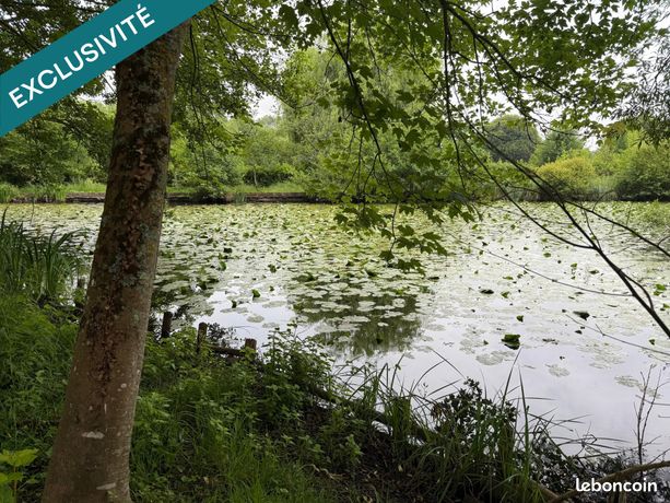 Terrain 4457 m² PETIT-AUVERNE