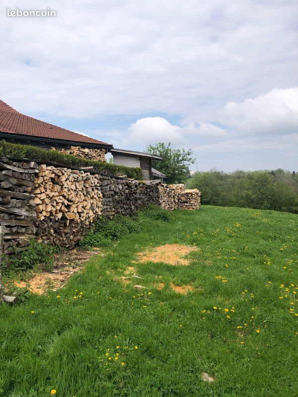 Bois (image 2)