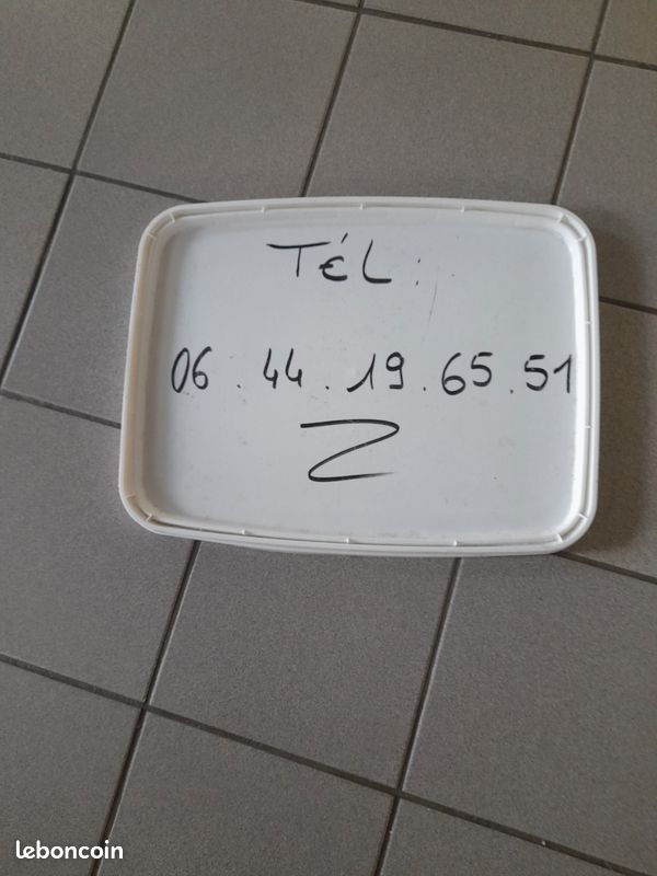 Petite pelle leborgne pour 🚗 (image 5)
