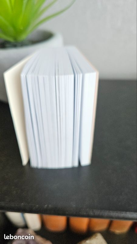 Le plus petit dictionnaire Larousse (image 4)