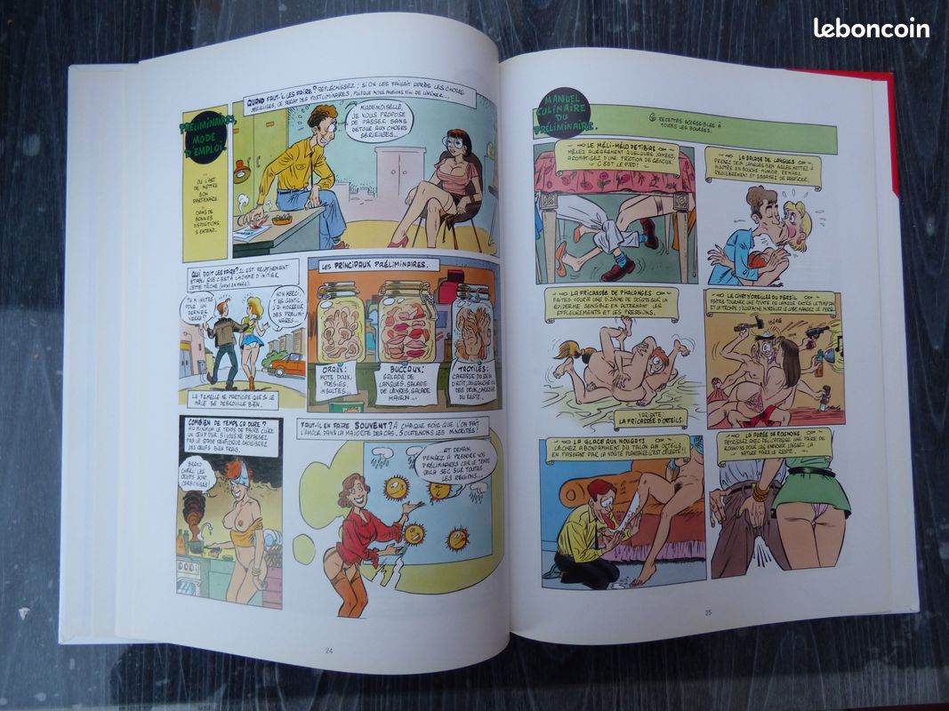 Le guide du sexe en BD - Livres