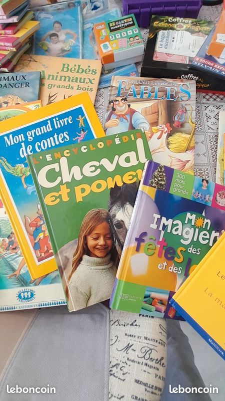 Gros lot de jouets, puzzles, livres, Lego, Barbie, micro karaoké, palmes, bottes de neige, jeux Meccano, valise éléphant : tout doit partir (image 14)