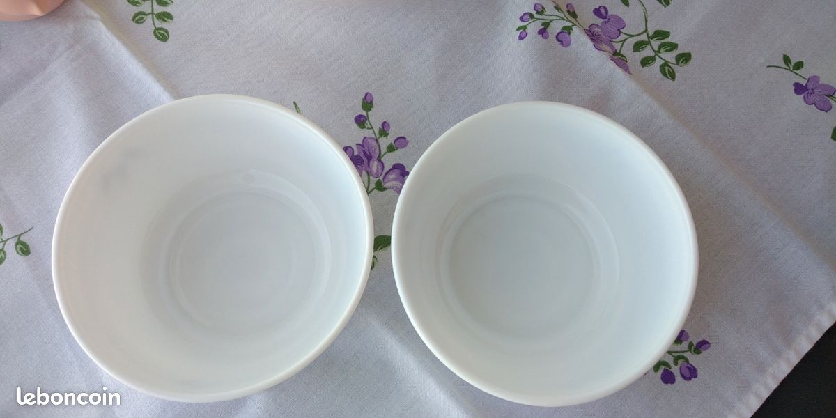 2 Coupelles / grands ramequins Opaline made in Spain décor Hirondelles (image 3)