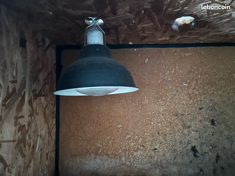 Grand vivarium/terrarium en bois d'intérieur pour reptile 120x60x60cm (image 3)