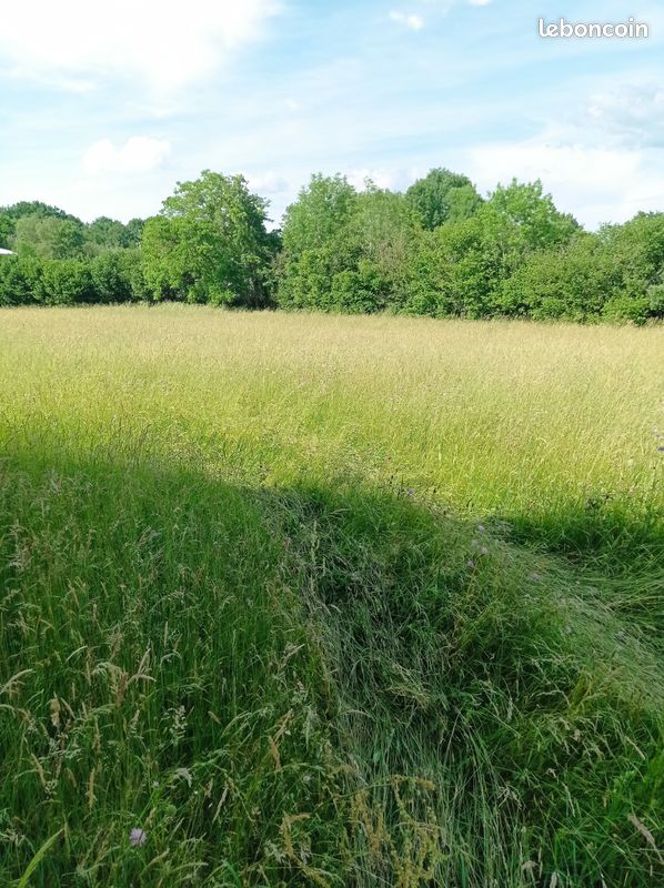 Terrain constructible 2000 m2 · à Saint-Georges-de-Mons · 33 600 €