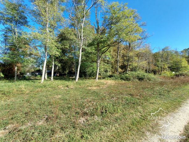 Terrain 8000 m² Louchats