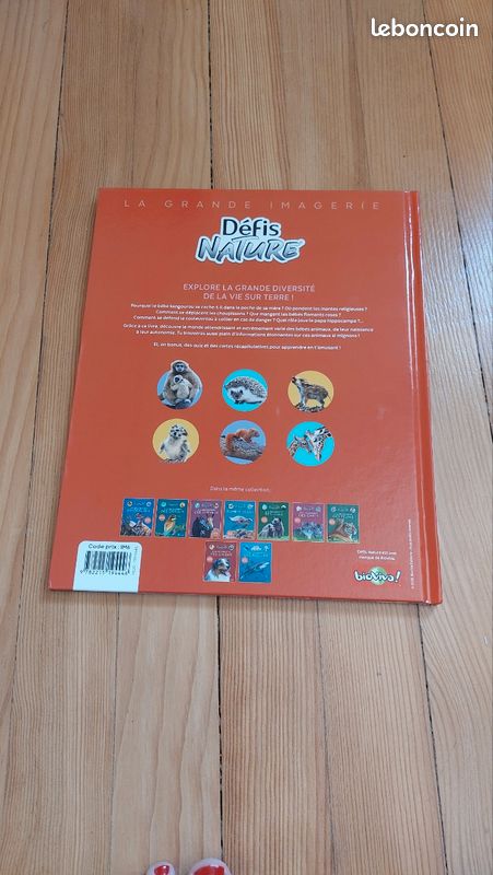 Bd (image 2)