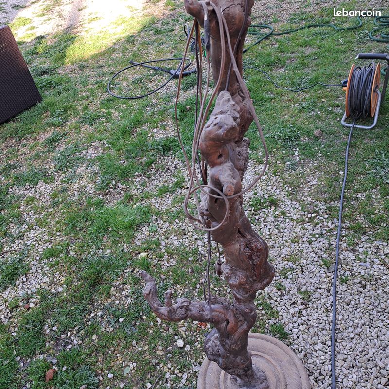 Lampe en pied de vigne (image 2)