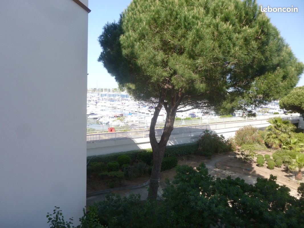 Studio cabine 2 personnes vers port et plage (image 3)