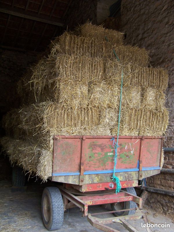 Petites bottes de foin et de paille (image 2)