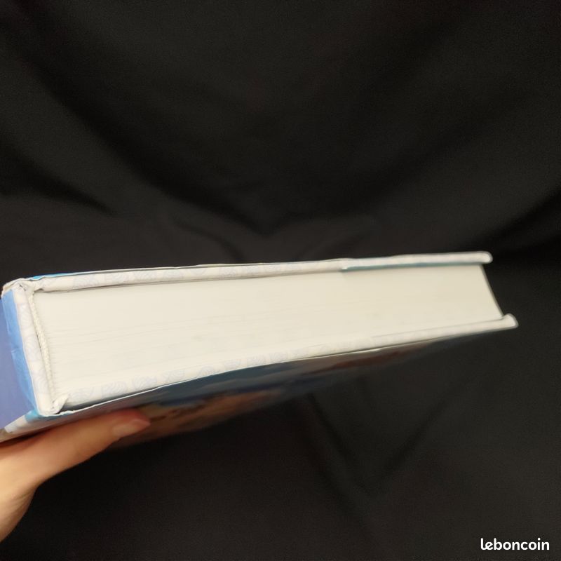 Livre animal crossing Le Guide Officiel Édition Complète version Collector - Futurepress (image 12)