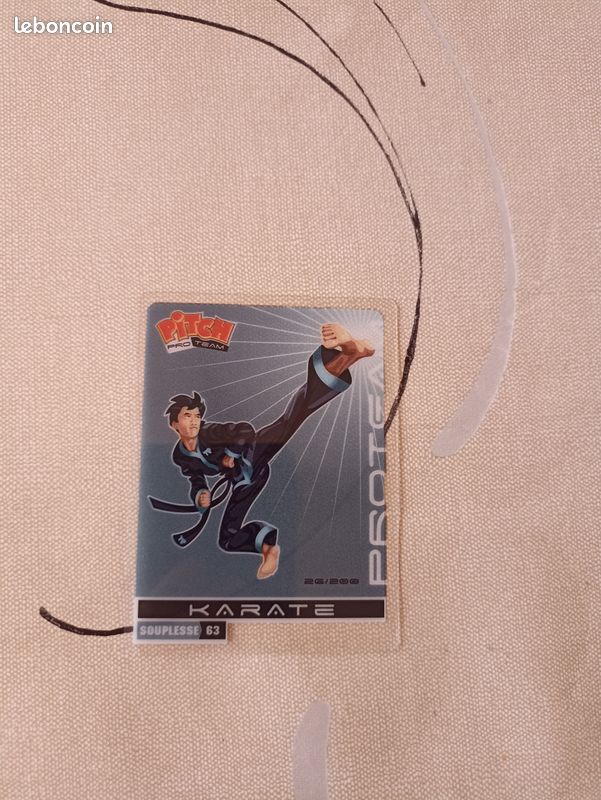 Cartes Pitch Elite Team Sports Pasquier / Panini 2011 (image 4)