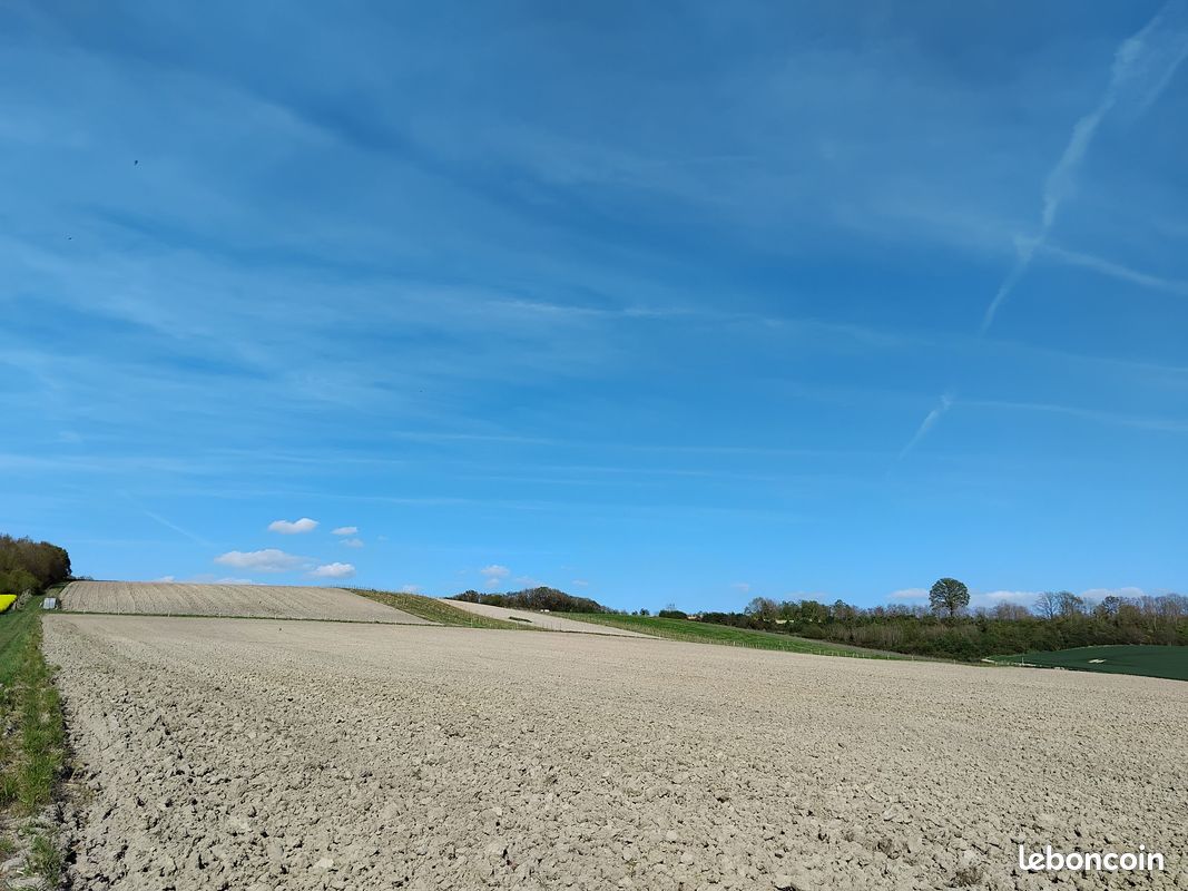 Rare – Vignoble de 4,80 ha plein sud – Sud Ardennes · à Olizy-Primat · 250 000 €