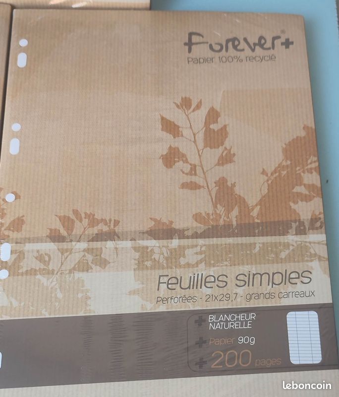 Feuilles simples perforées (image 2)