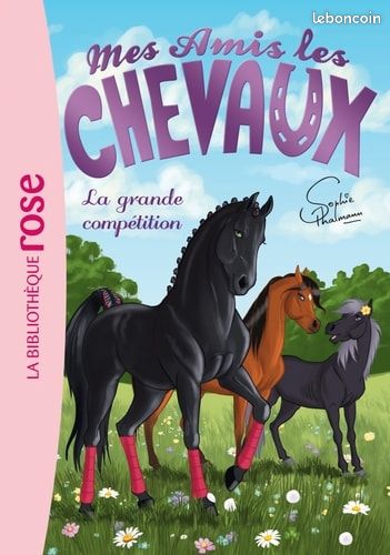 Lot de 2 livres mes amis les chevaux (image 1)