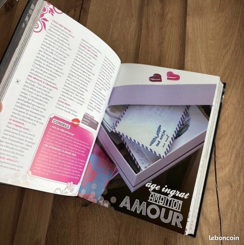 Le dico des filles 2012 (image 5)
