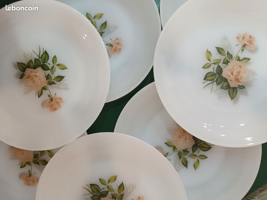 Lot de 6 assiettes à dessert Arcopal motif rose vintage