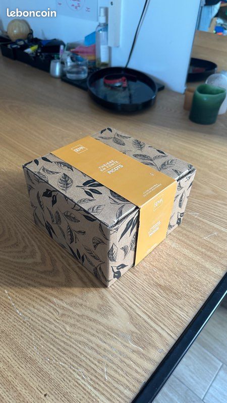 Théière en fonte Picots Sema Design neuve (image 7)