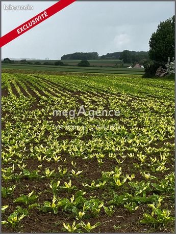 Terrain 933 m² MONTRECOURT