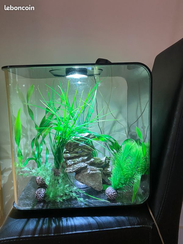 AQUARIUM BiOrb 30 litres, éclairage LED, état neuf avec accessoires (image 1)