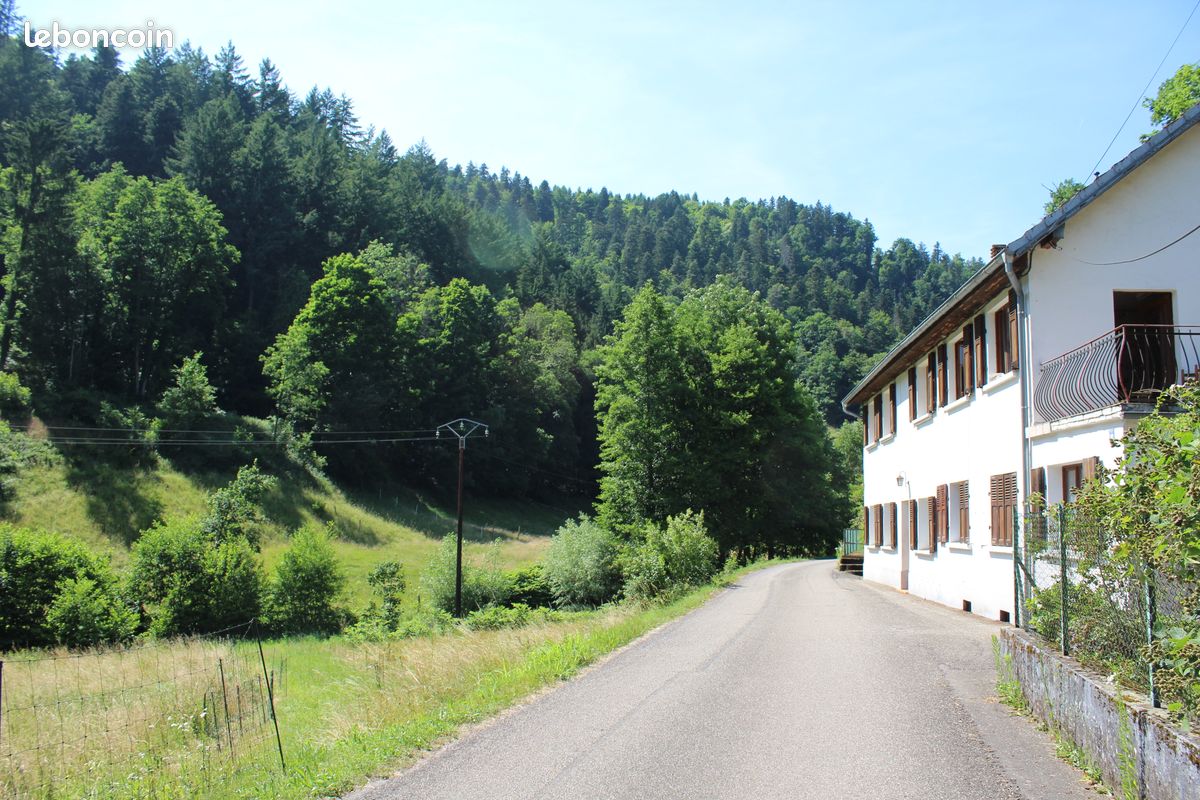 Maison 9 pièces 221 m² · à Sainte-Croix-aux-Mines · 221 m² · 250 000 €